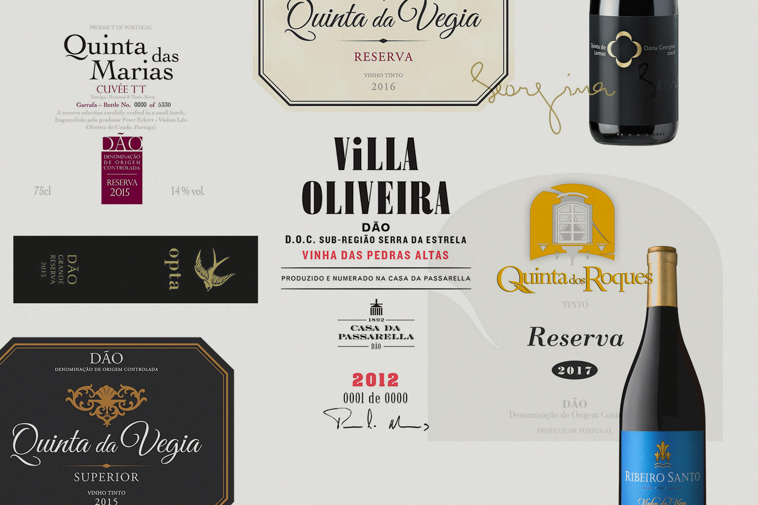 Dão wines labels and bottles